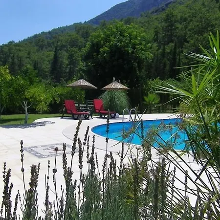 Portalimo - Adult Only +12 Çıralı