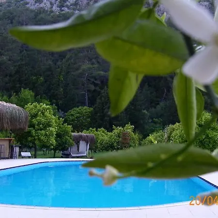 Portalimo - Adult Only +12 * Çıralı